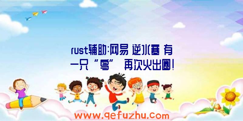 rust辅助:网易《逆水寒》有一只“鸟”